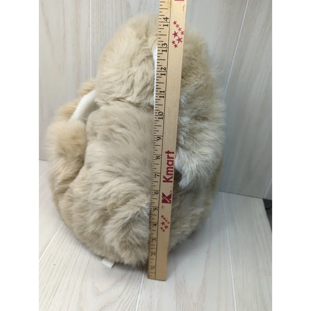 Fiesta measurement photo